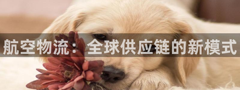 超凡国际官网入口：航空物流：全球供应
