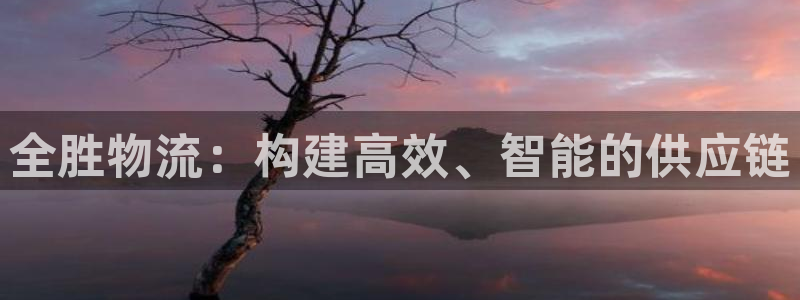 超凡国际南宫娱乐官网：全胜物流：构建