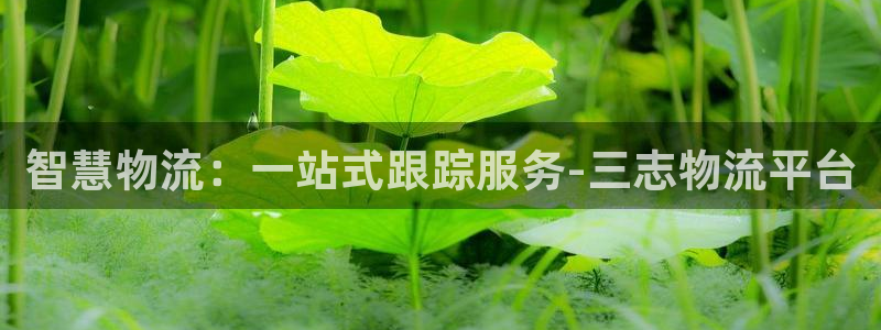超凡国际人工客服电话是什么：智慧物流