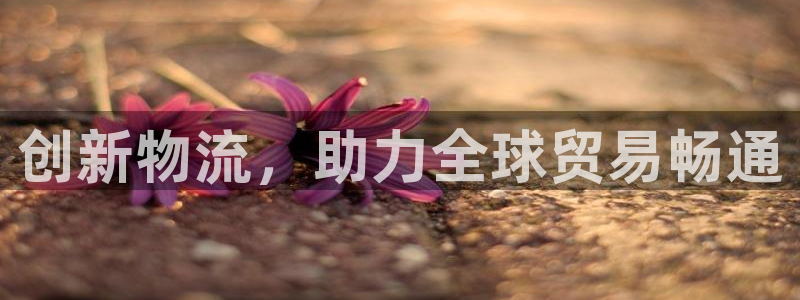超凡国际官网入口官网：创新物流，助力
