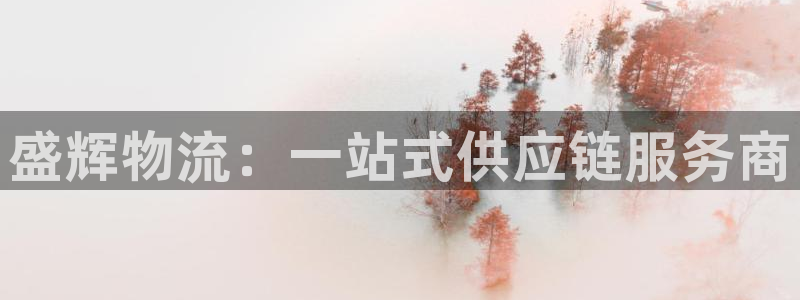 超凡国际链接多少：盛辉物流：一站式供