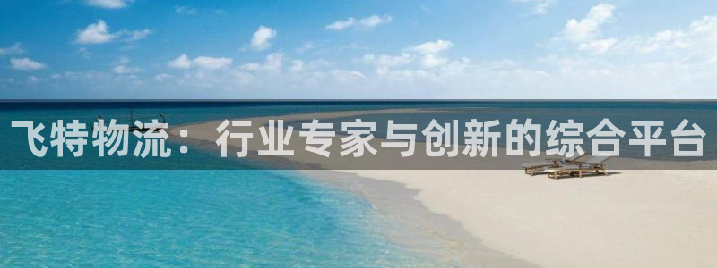 超凡国际充值不到账怎么回事：飞特物流