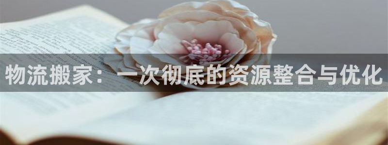 超凡国际模拟器：物流搬家：一次彻底的