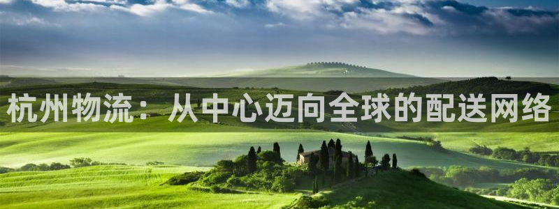 超凡国际在线预测官网：杭州物流：从中