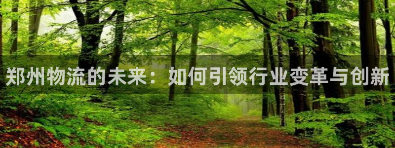 超凡国际最稳打法：郑州物流的未来：如