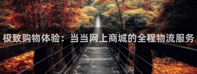 超凡国际黑平台吗：极致购物体验：当当网上商城的全程物流服务