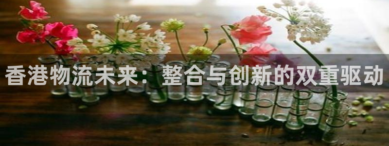 南宫超凡国际官网版：香港物流未来：整