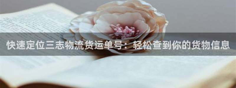 超凡国际app注册地址：快速定位三志