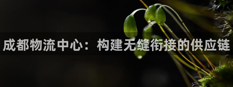 超凡国际注册链接教程：成都物流中心：