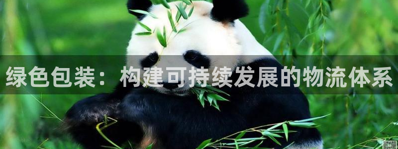 超凡国际相信品牌的力量