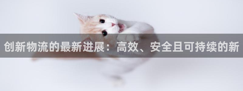 超凡国际和南宫28什么关系：创新物流的最新进展：高效、安全且