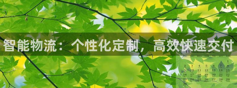 超凡国际注册登录:智能物流:个性化定