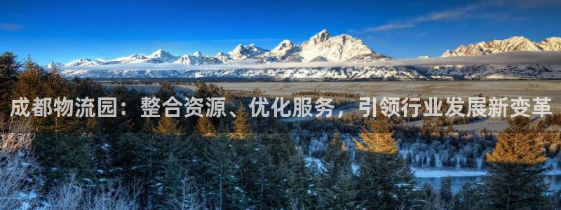 超凡国际网赌有什么风险:成都物流园: